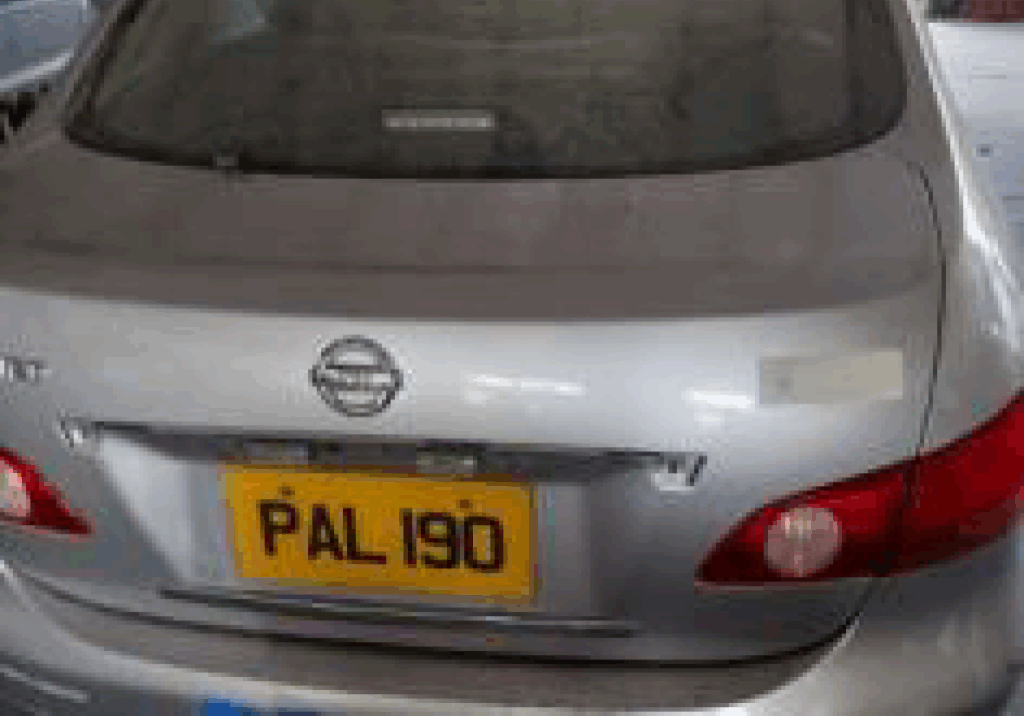 Image-pal190 Image-pal190